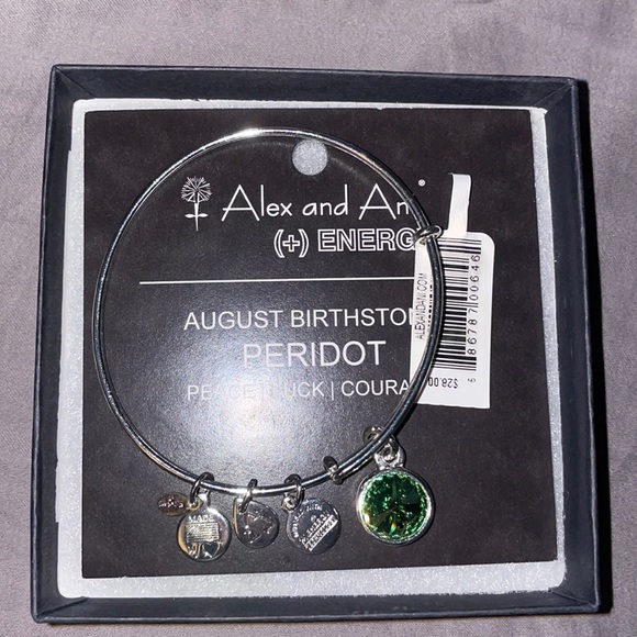 Other - Alex and Ani bracelet